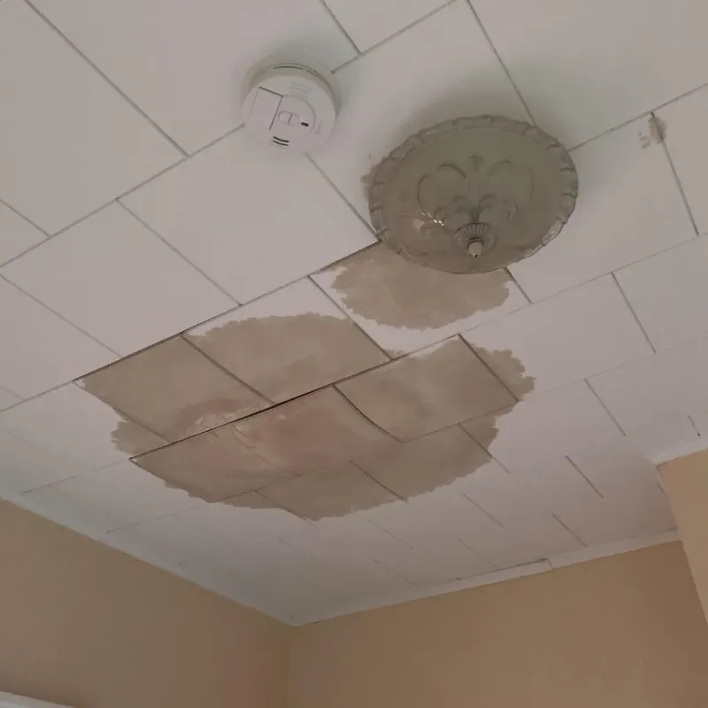 Ceiling Water Damage Repair in Harvey, ND