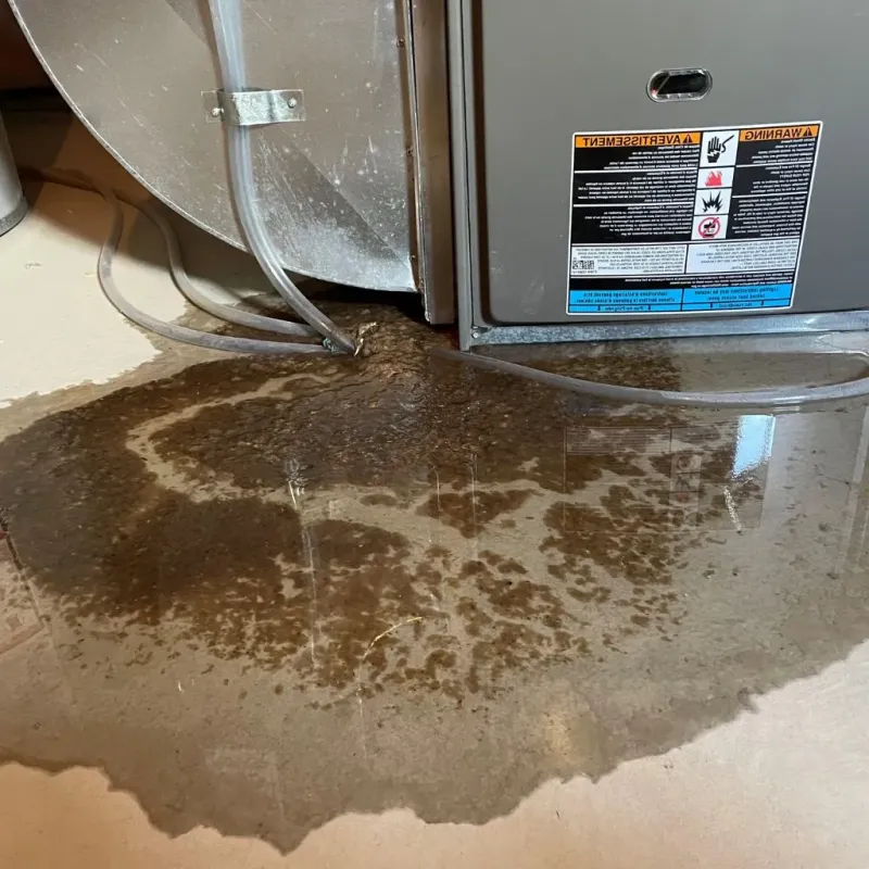 Pipe Burst and Leak Restoration in Harvey, ND